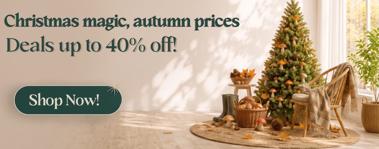 AUTUMN OFFER