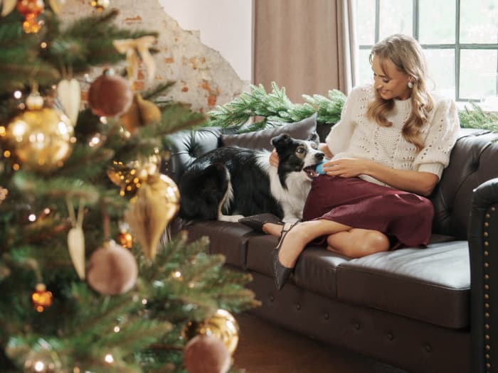 A mom sits on the sofa with a border collie next to the decorated artificial Christmas tree FairyTrees FT14 with golden baubles