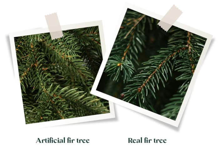 Comparison of fir branches: on the left the needles of the FairyTrees FT33 Alpine fir artificial Christmas tree, on the right the branches of a real forest fir.
