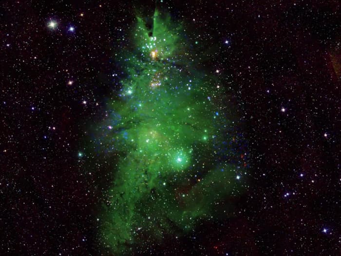 The NGC 2264 cluster, known as the “Christmas Tree Cluster,” photographed by telescopes collaborating with NASA.