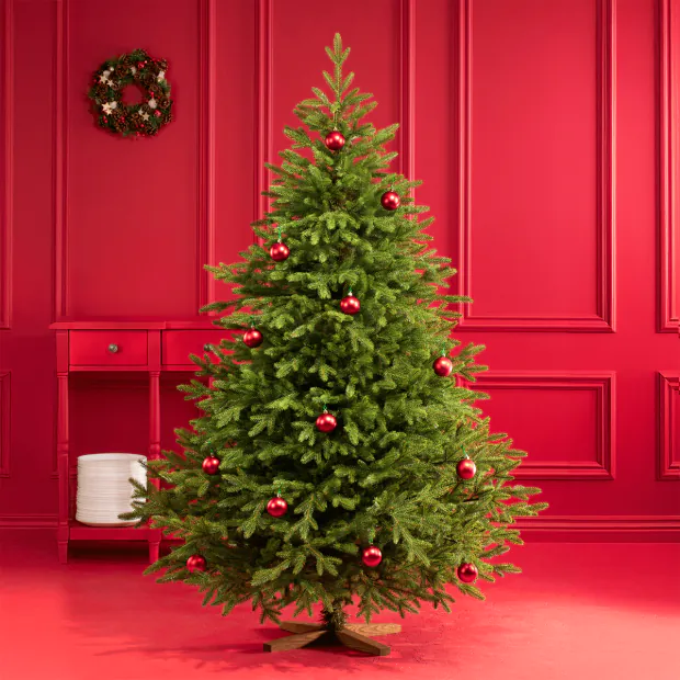Spruce Christmas Tree Arrangement: Elegant Red Baubles and Red Decorations
