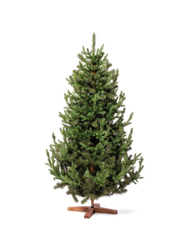 Bavarian fir FairyTrees FT32-180 – artificial Christmas tree with subtle color transitions for an authentic look.
