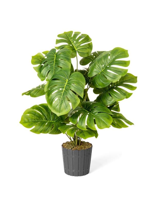 FairyTrees artificial monstera 70 cm with large, green leaves featuring distinctive cutouts against a light background.