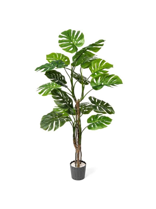 FairyTrees 160 cm artificial monstera on a stem against a white background, featuring large green leaves with distinctive cutouts. 