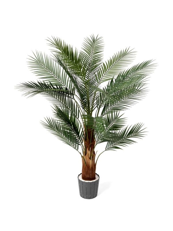 FairyTrees 160 cm artificial patio palm with spreading, feathery leaves against a light background. 