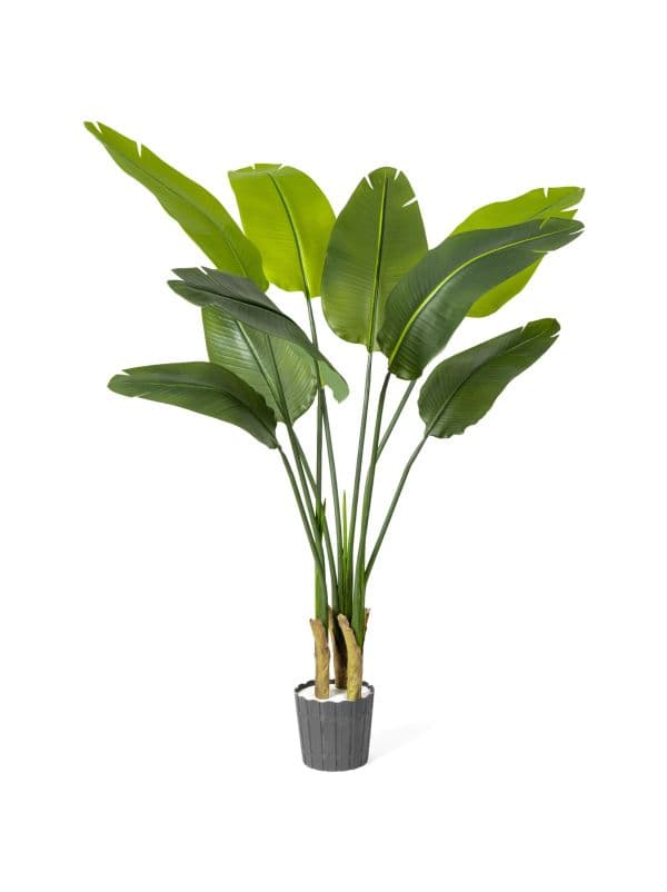 130 cm FairyTrees artificial strelitzia with wide, elongated leaves against a light background.