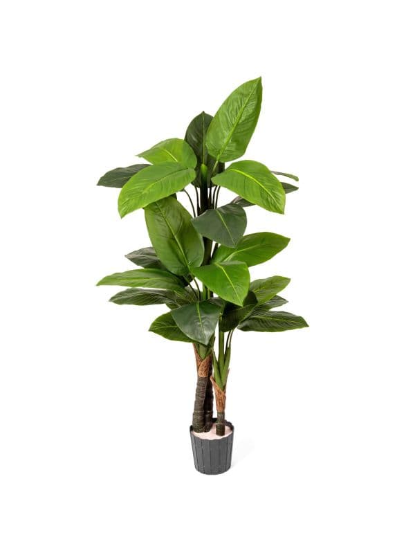 FairyTrees 160 cm artificial banana tree with large, broad leaves against a light background.