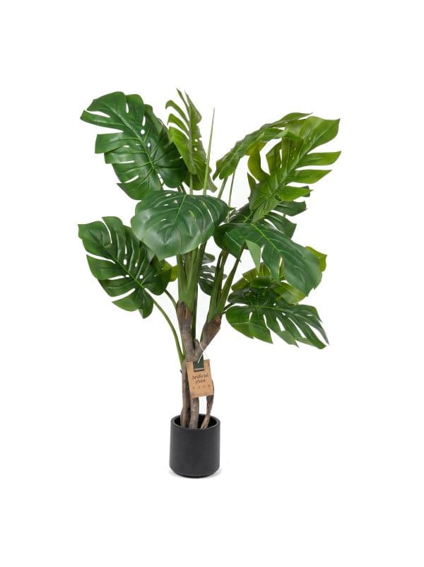 Monstera on stem 120 cm