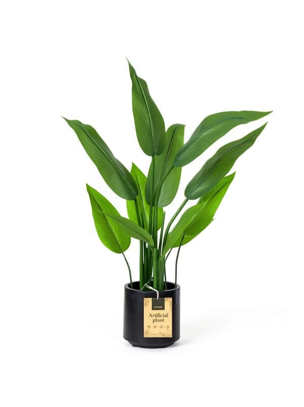 Artificial Strelitzia 65 cm FairyTrees with 15 oblong, green leaves on a light background. 