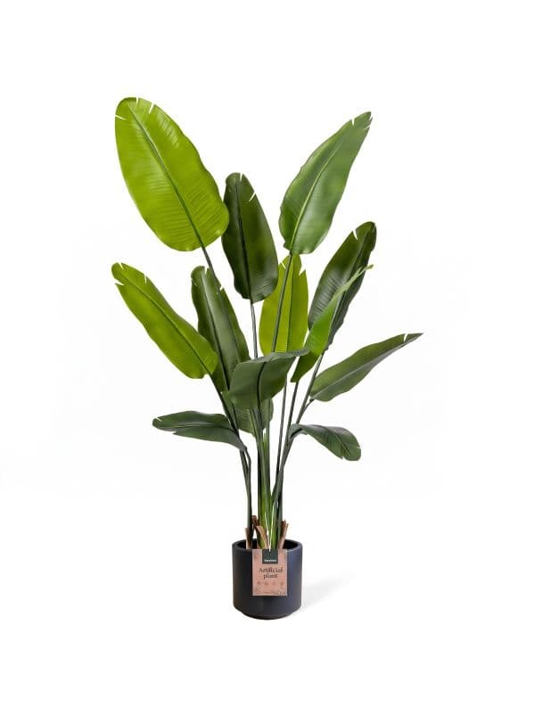FairyTrees 165 cm artificial strelitzia with a slender form and large, elongated leaves against a light background.