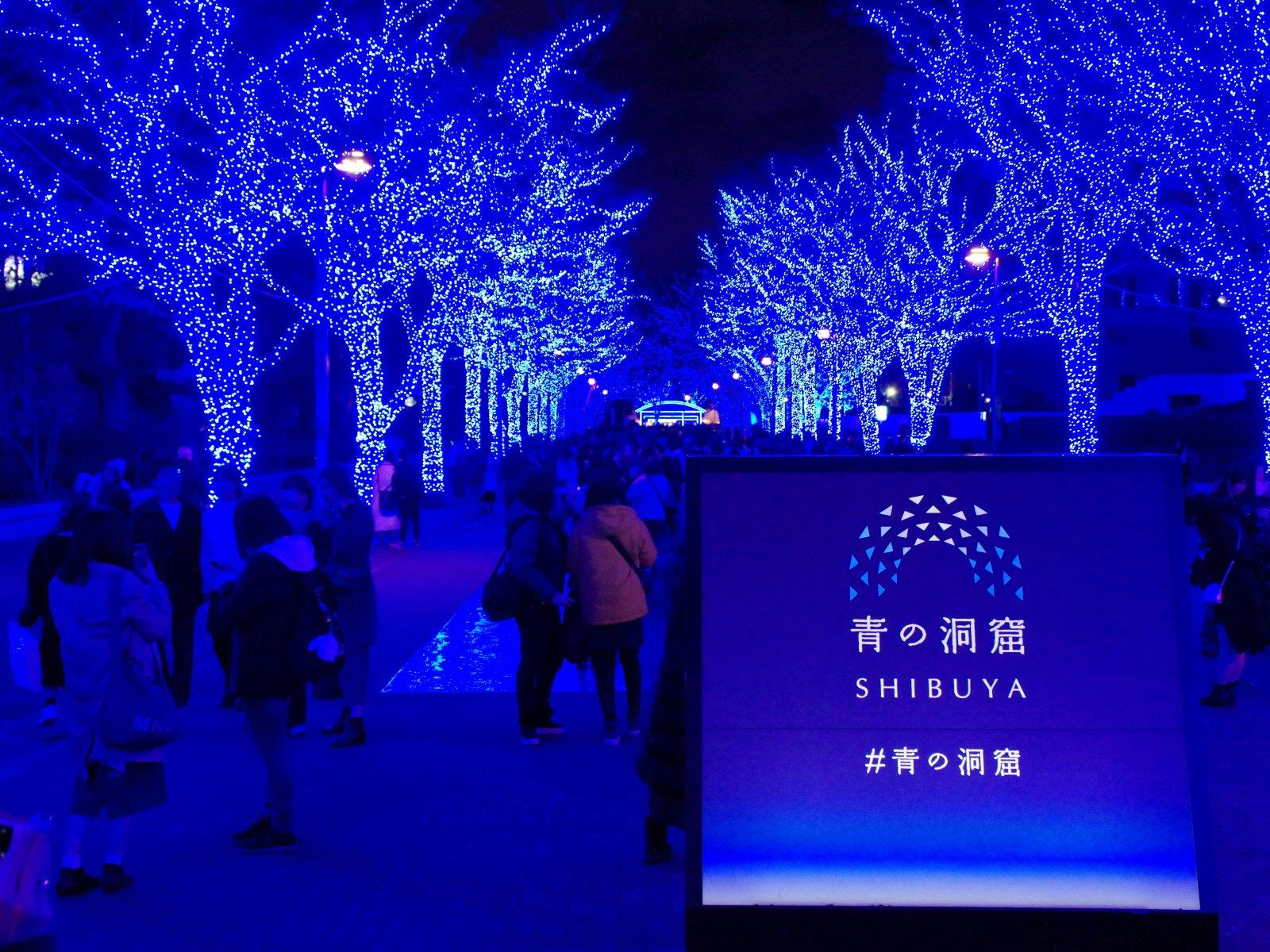 A tree-lined street in Tokyo is illuminated with intense blue LED lights, creating the Blue Cave light installation in Shibuya.