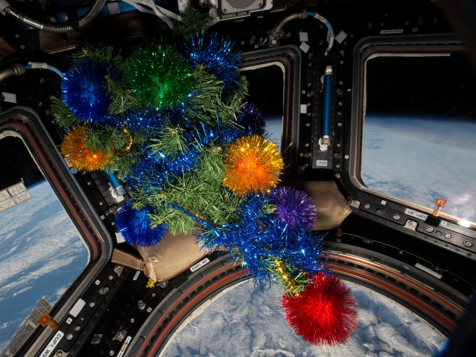 A decorated Christmas tree in the Cupola module on the International Space Station, December 25, 2015.