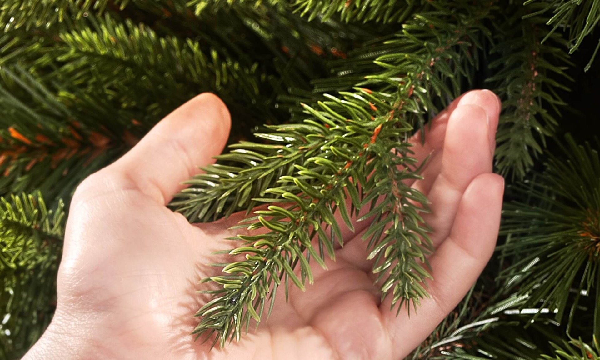 PE (injection molded) branch in FairyTrees artificial Christmas tree