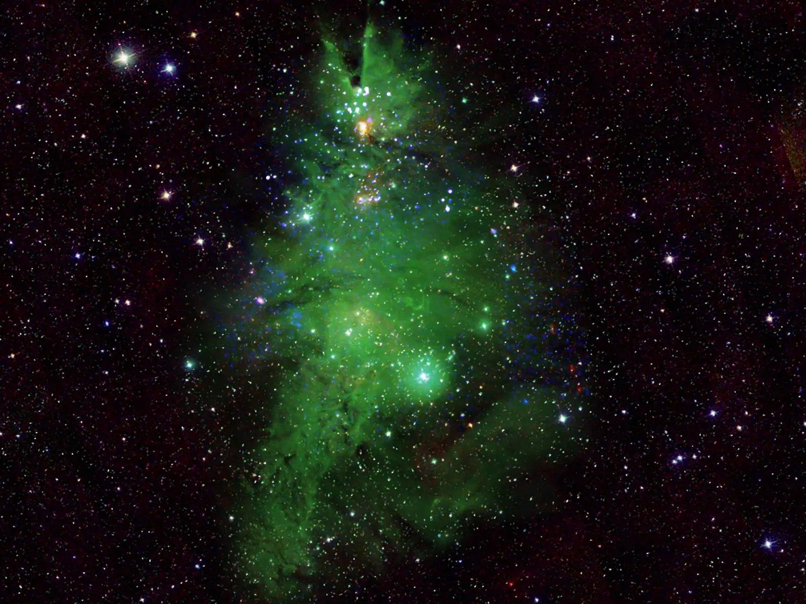 The NGC 2264 cluster, known as the “Christmas Tree Cluster,” photographed by telescopes collaborating with NASA.