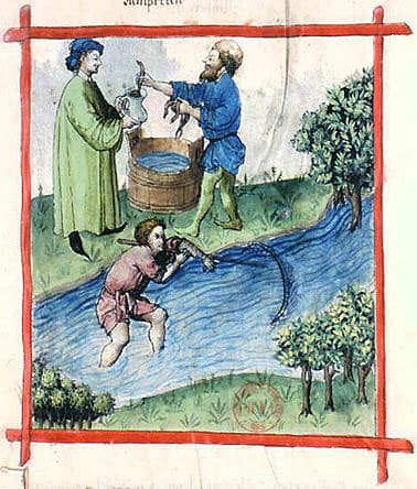 Medieval engraving depicting men fishing for lampreys in a river using simple tools, illustrating an old method of supplying fish for elite cuisine.