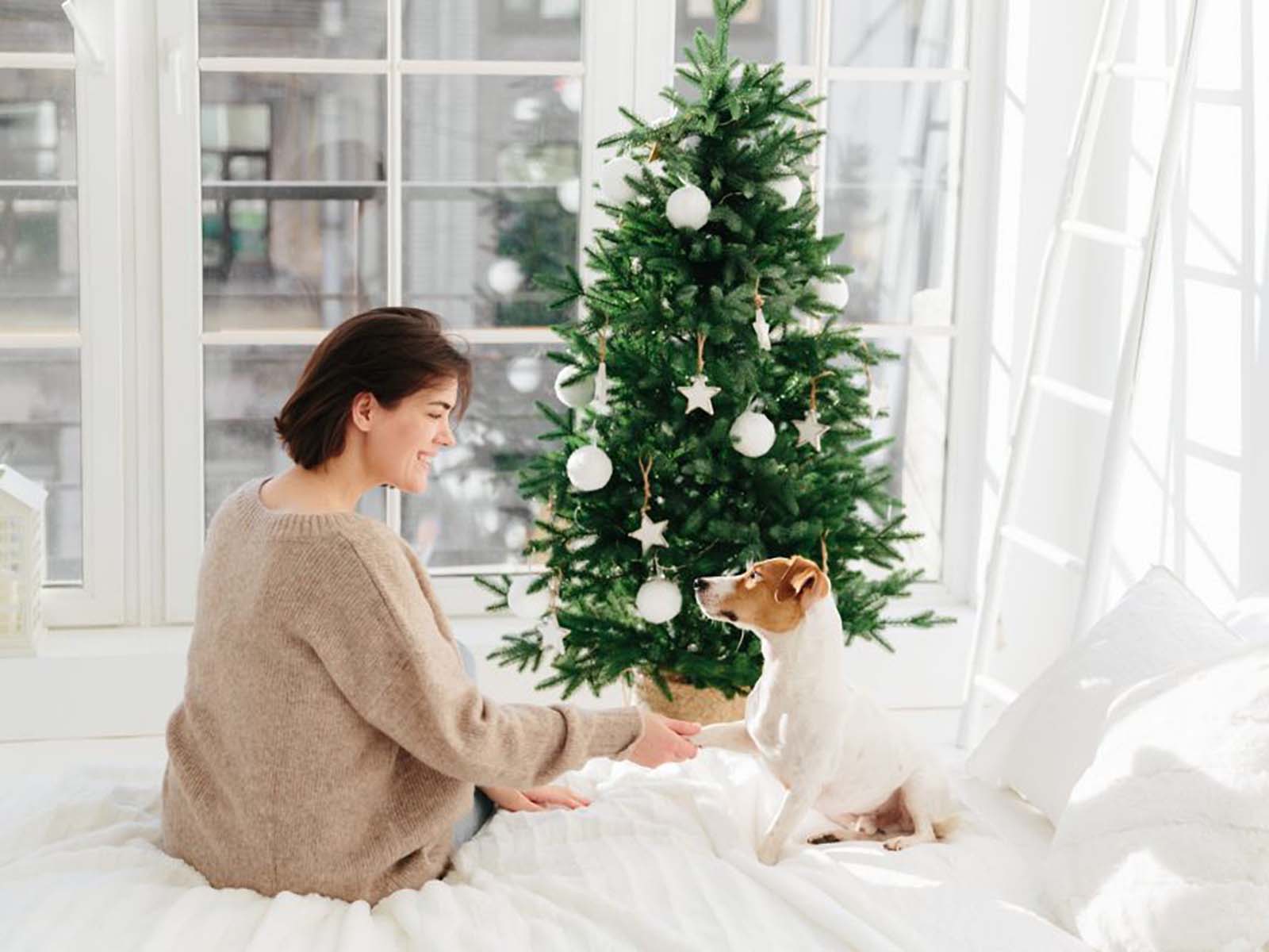 A durable artificial Christmas tree for years – what determines its longevity?