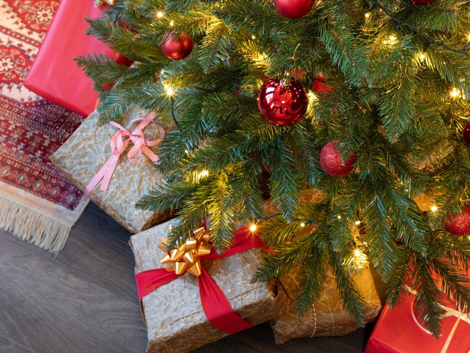 Your perfect Christmas tree: questions and answers to help you choose the right one