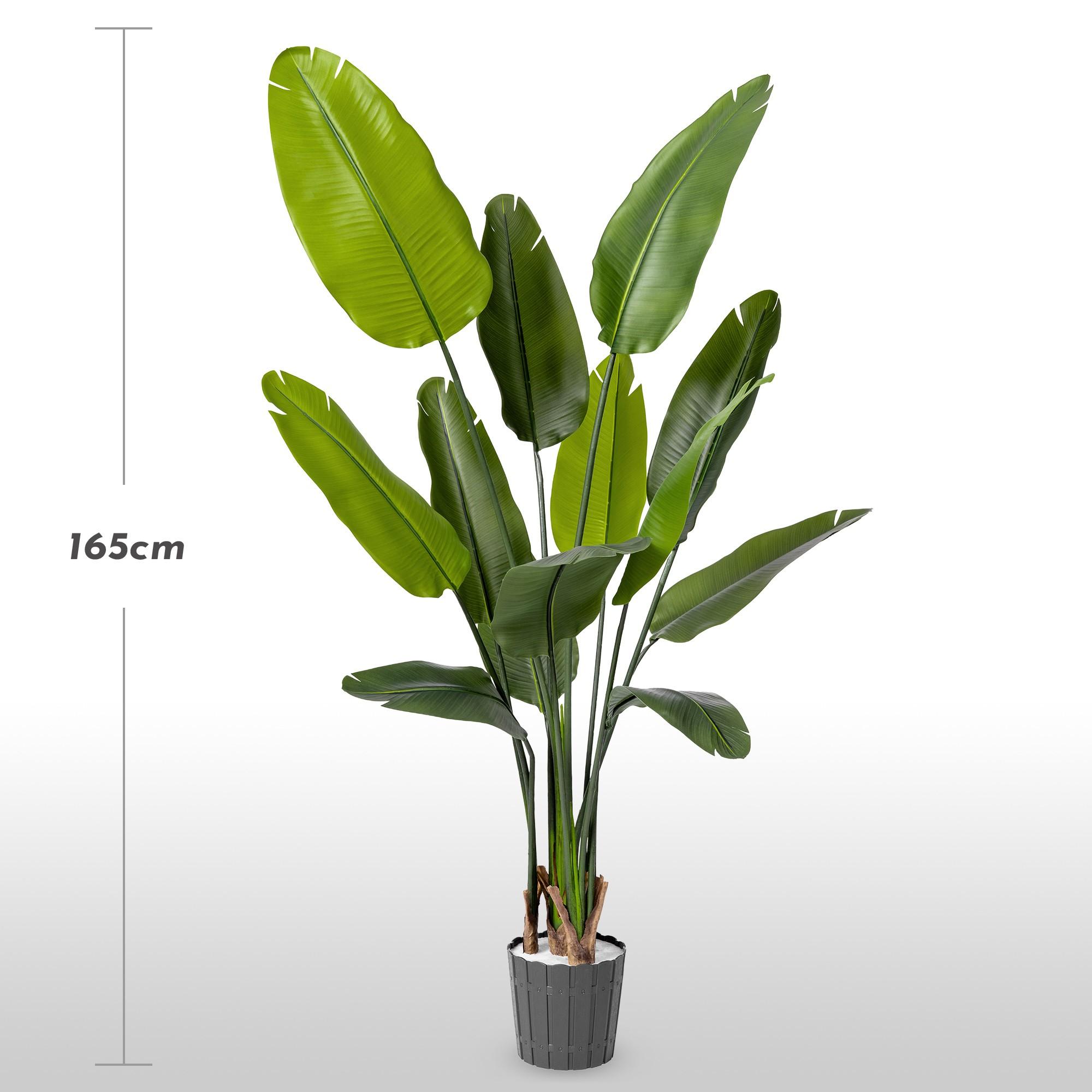 FairyTrees 165 cm artificial strelitzia with a slender form and large, elongated leaves against a light background, with the height marked.